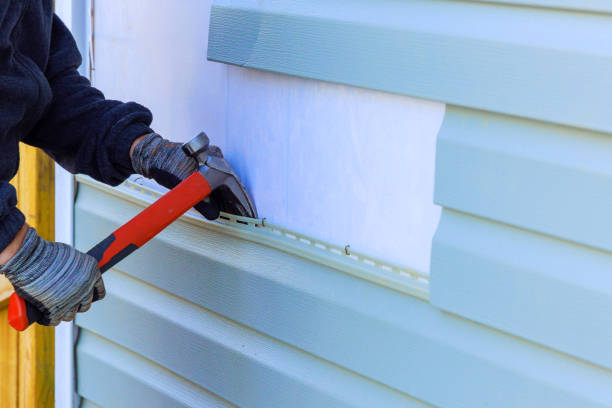 Best Custom Trim and Detailing for Siding  in Laingsburg, MI